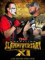 TNA PPV Slammiversary 2013