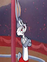 兔宝宝超级巨星