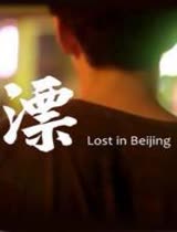 漂(Lost in Beijing)