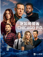 芝加哥警署第八季
