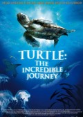 海龟:奇妙之旅